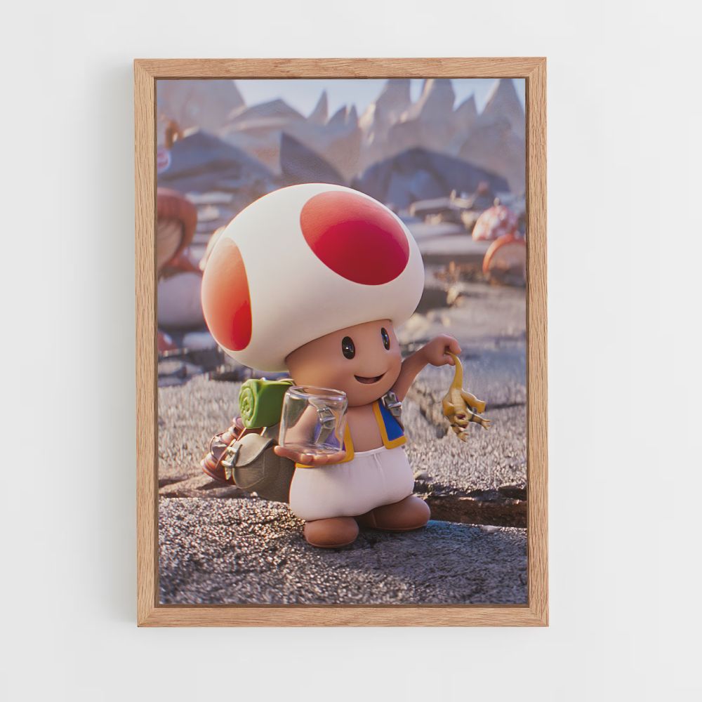 Toad Poster