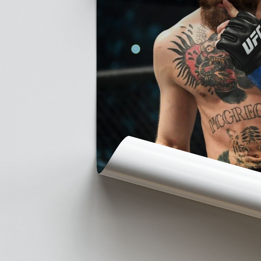 Conor Mcgregor poster