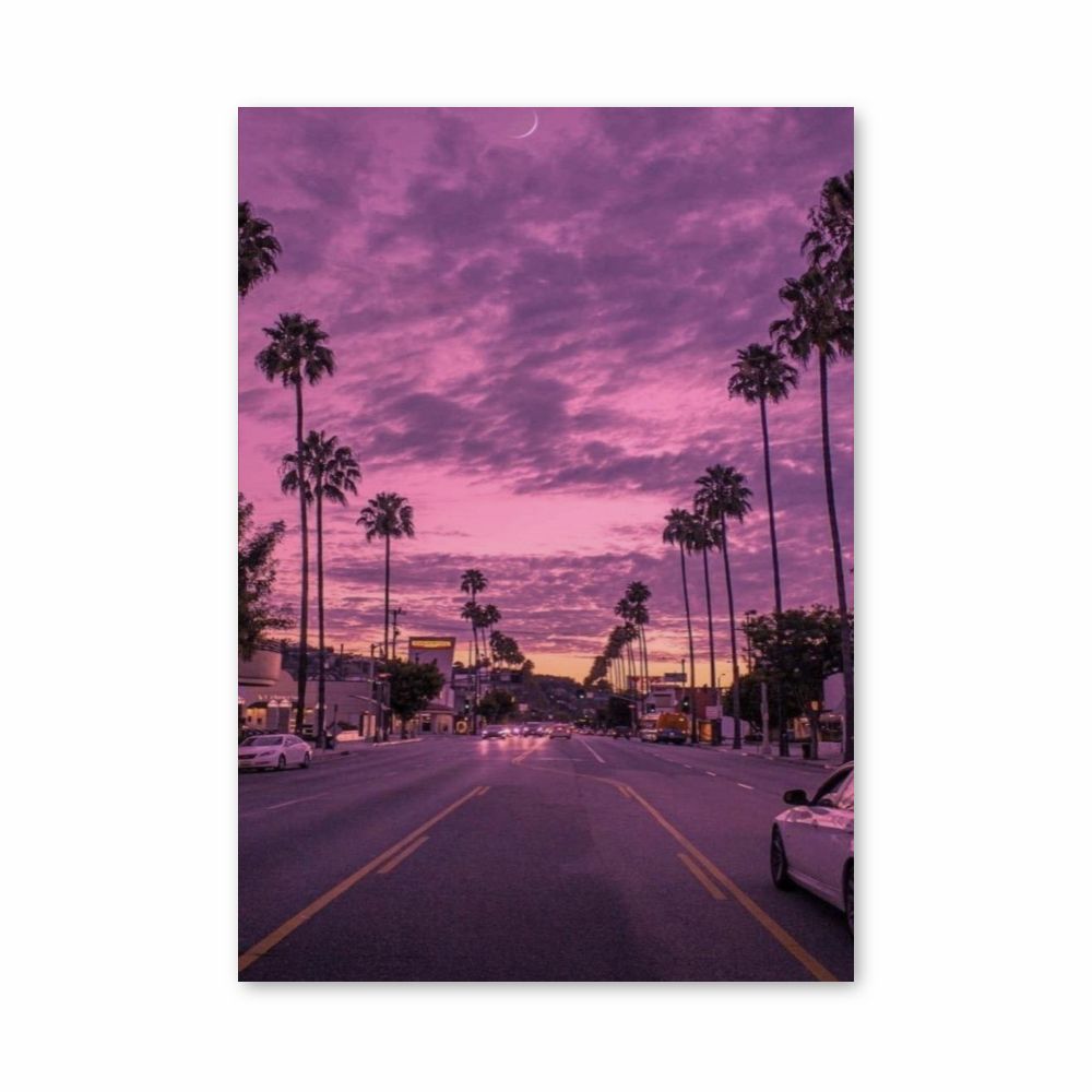 Poster Miami Aesthetic