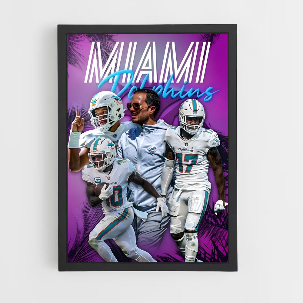 miami-dolphins-14 cadre Noir