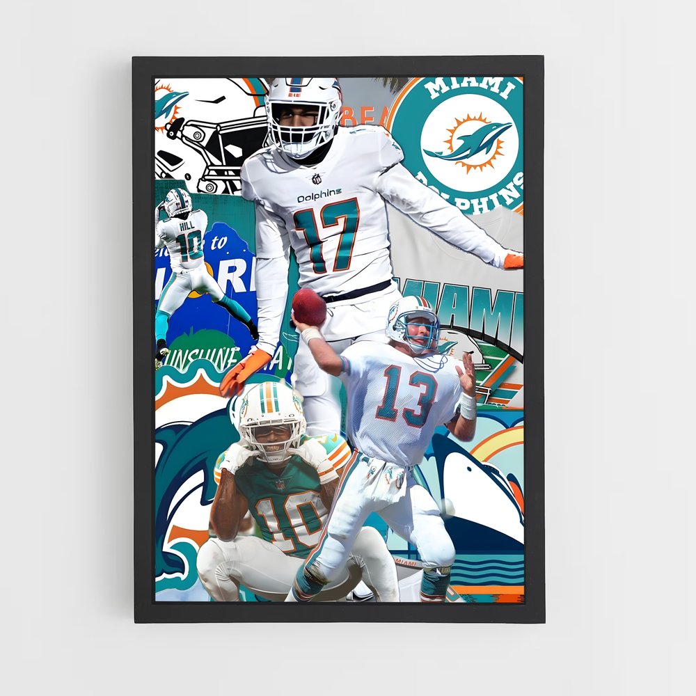 miami-dolphins-9 cadre Noir
