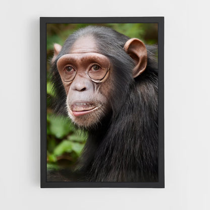 monkey-11 cadre Noir