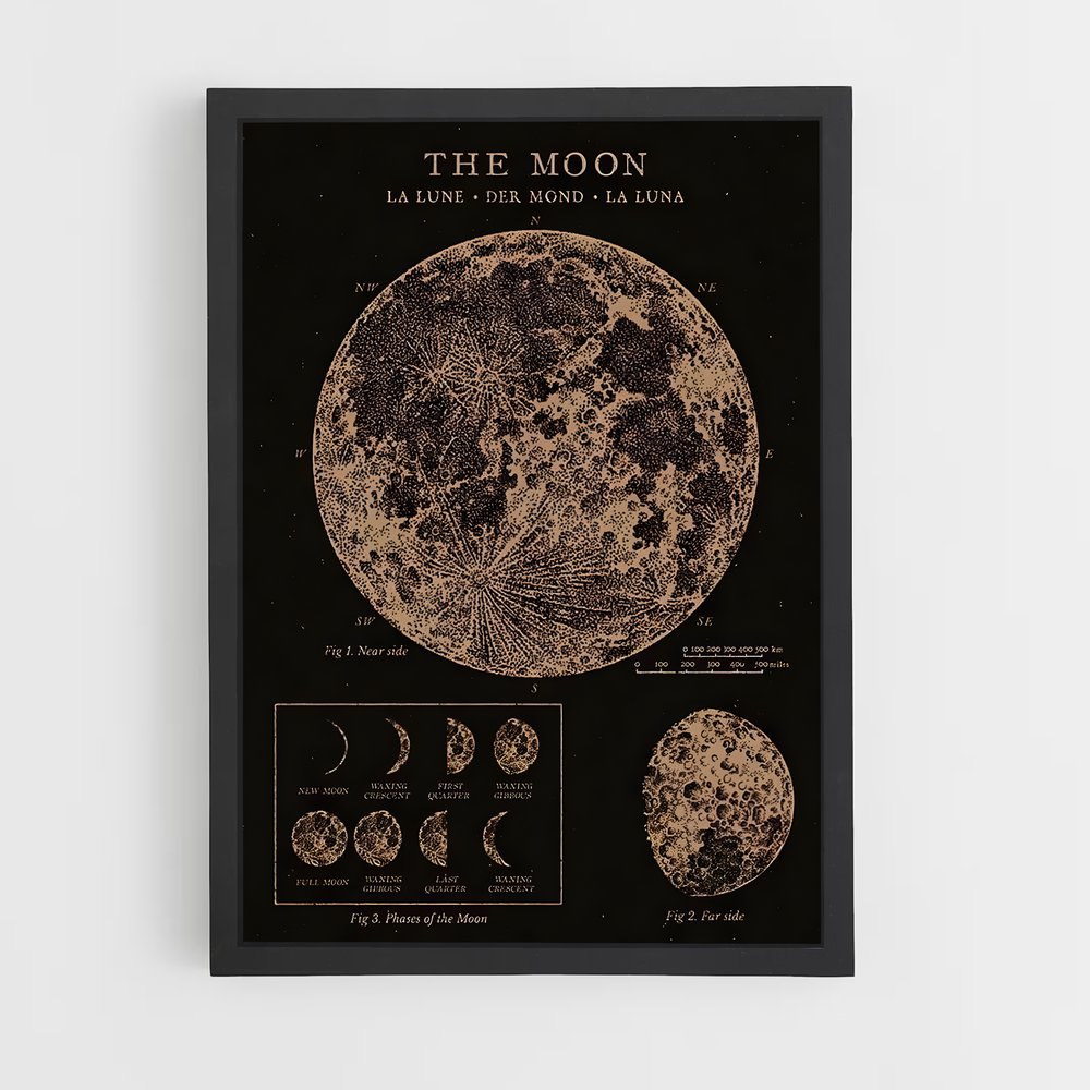 moon-4 cadre Noir