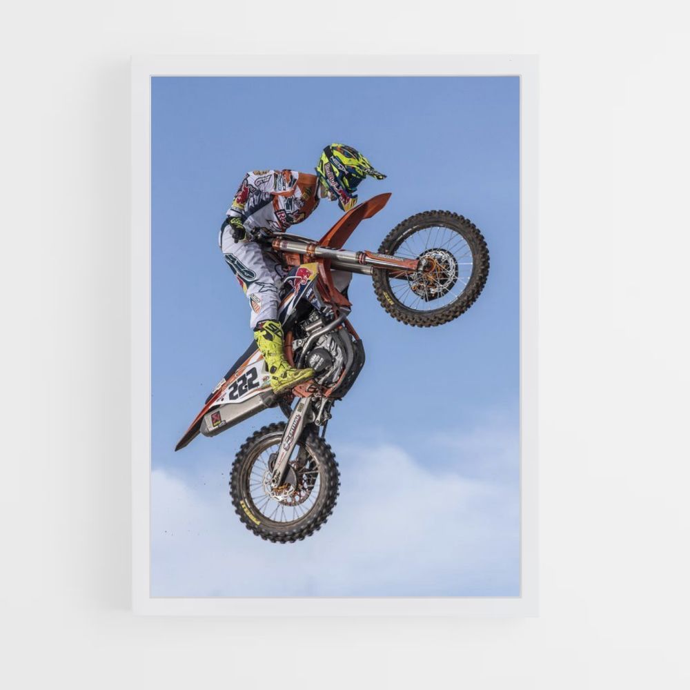 Motorcycle Figure Poster