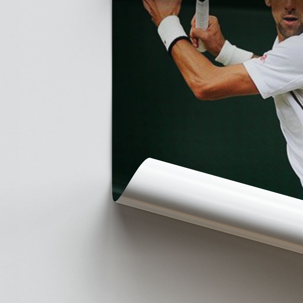 Djokovic Ball Poster