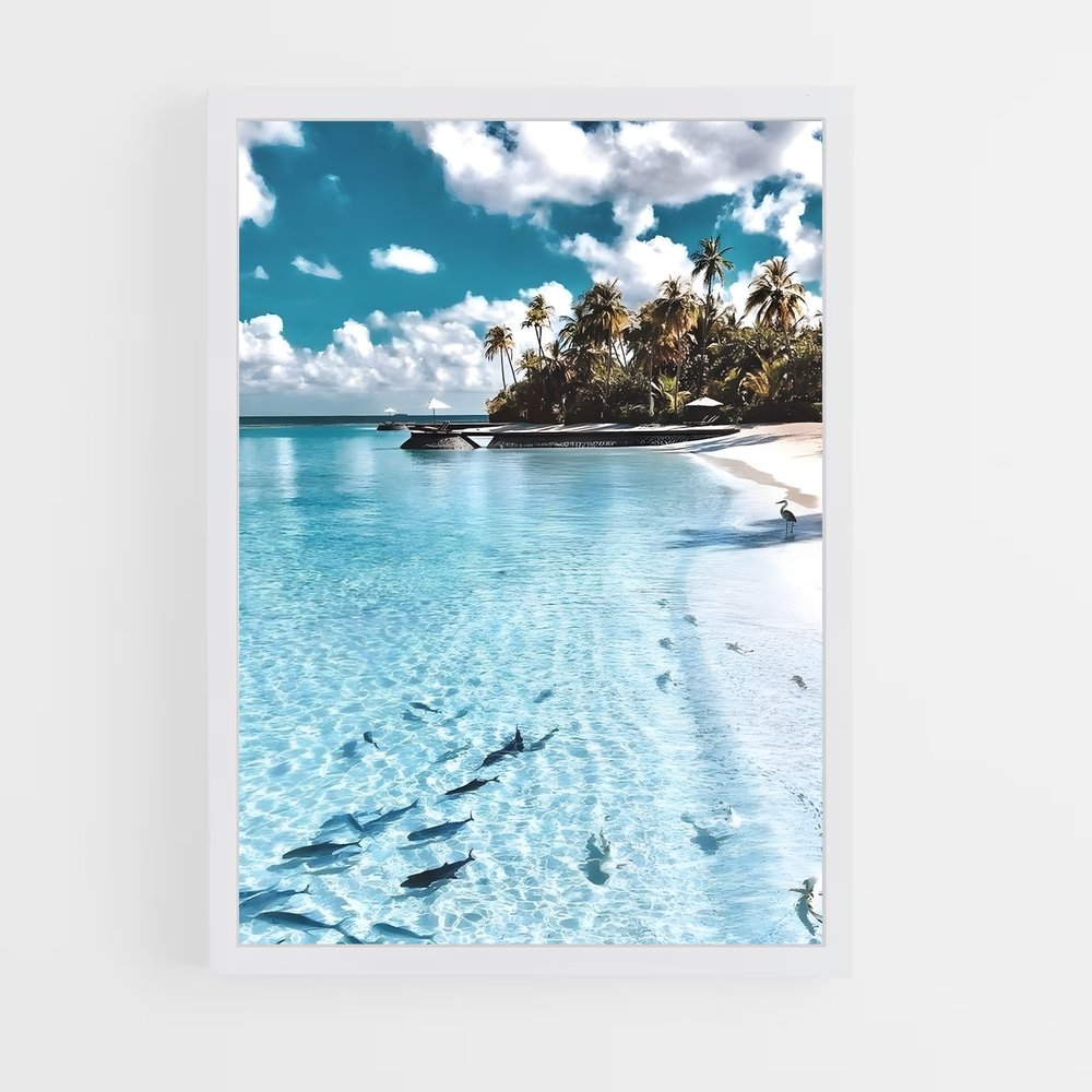 ocean-3 cadre Blanc