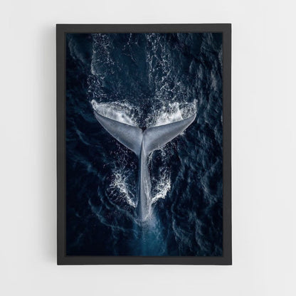 Whale Poster