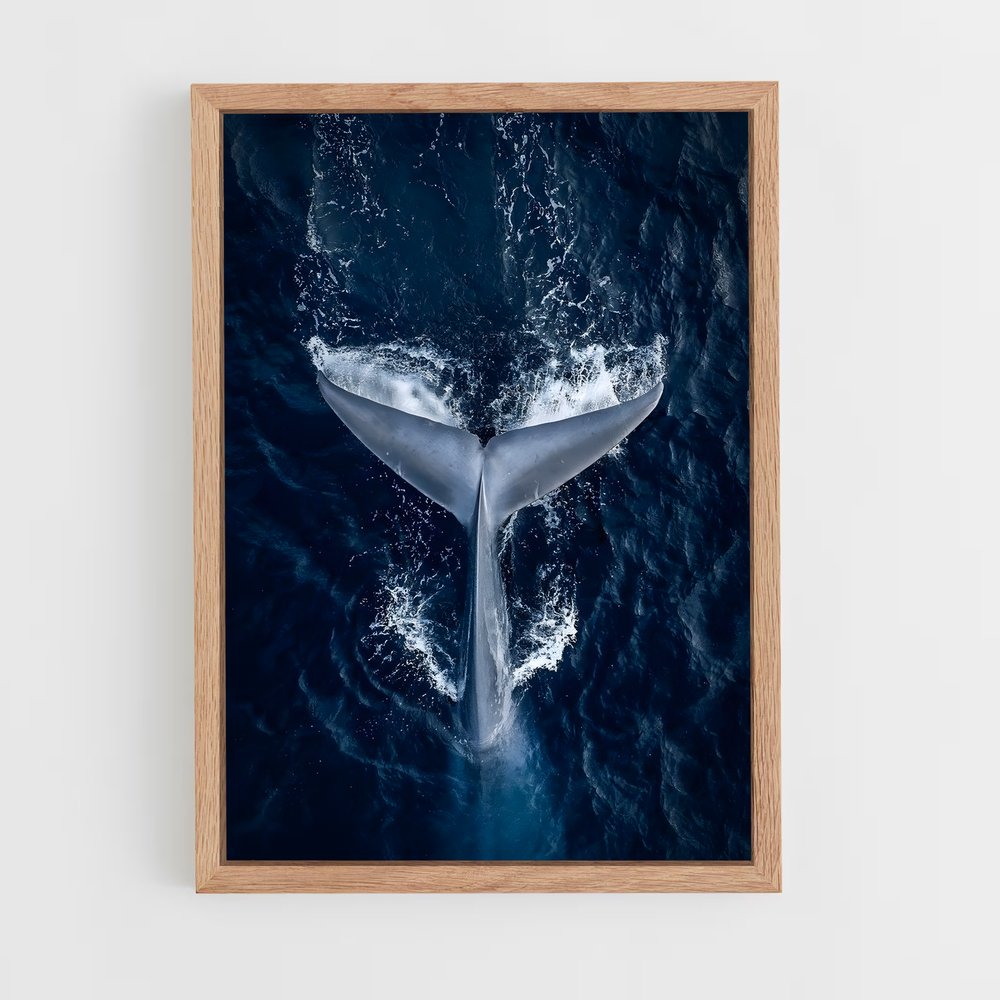 ocean-6 cadre Bois clair