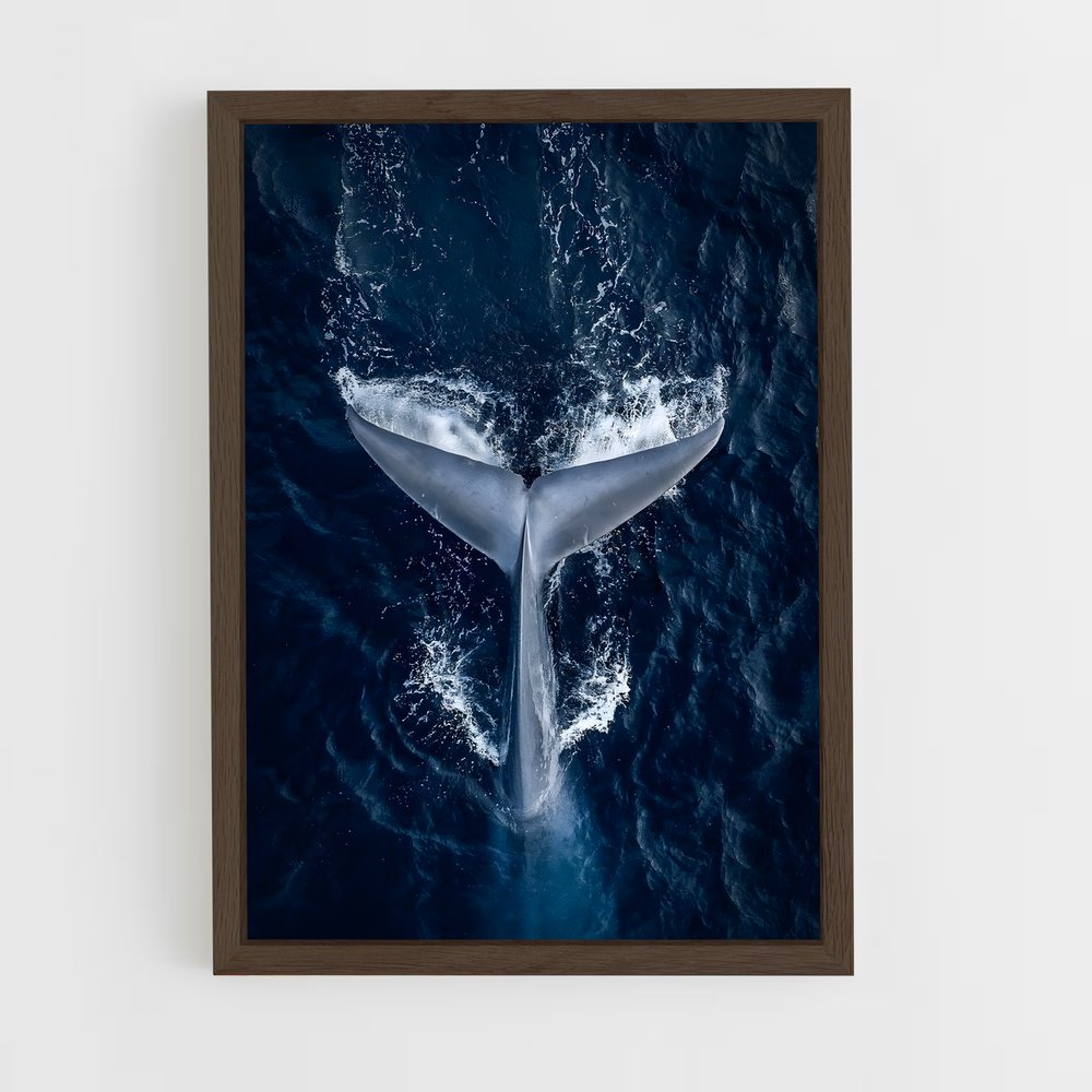 ocean-6 cadre Bois foncé