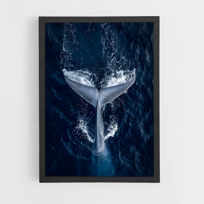ocean-6 cadre Noir
