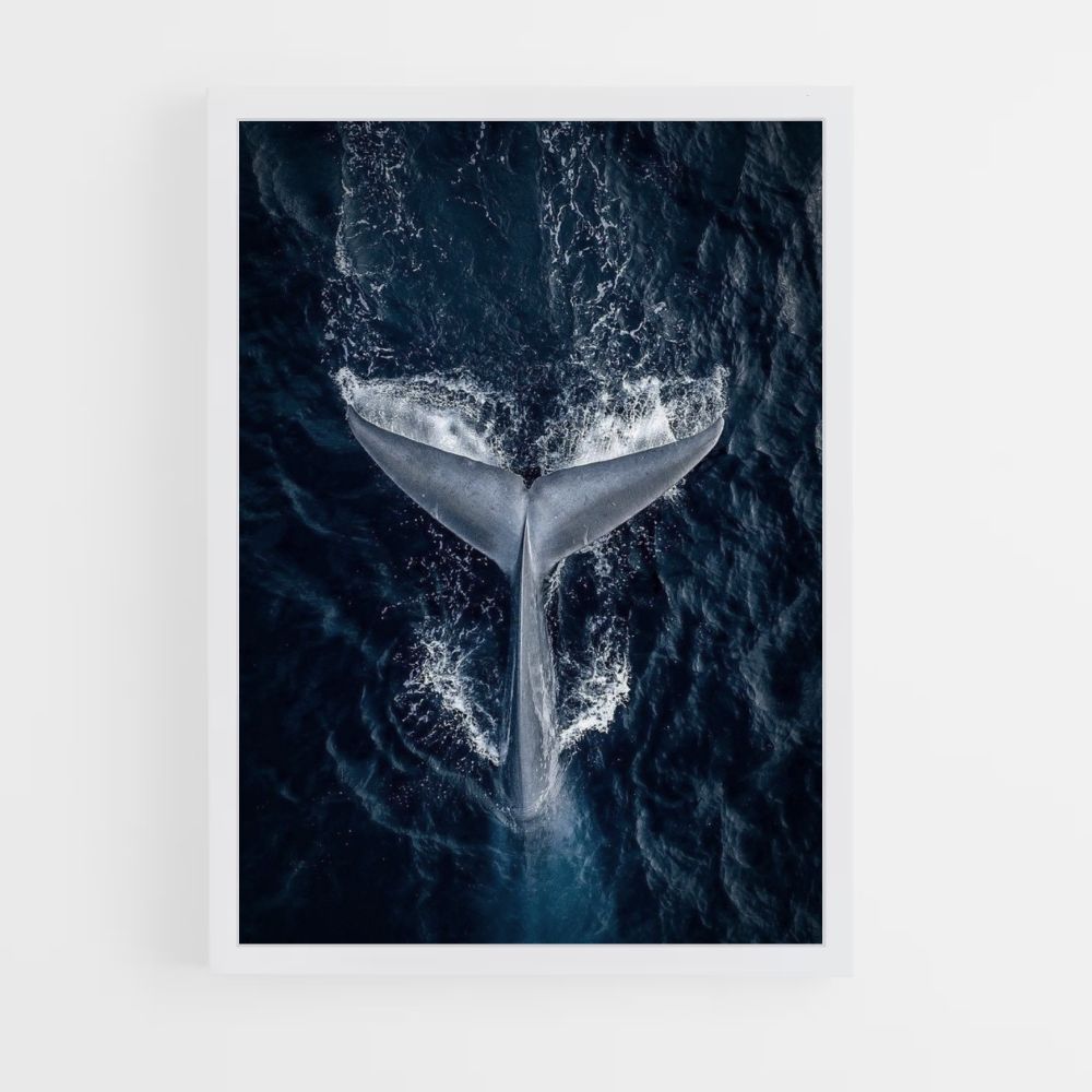 Whale Poster