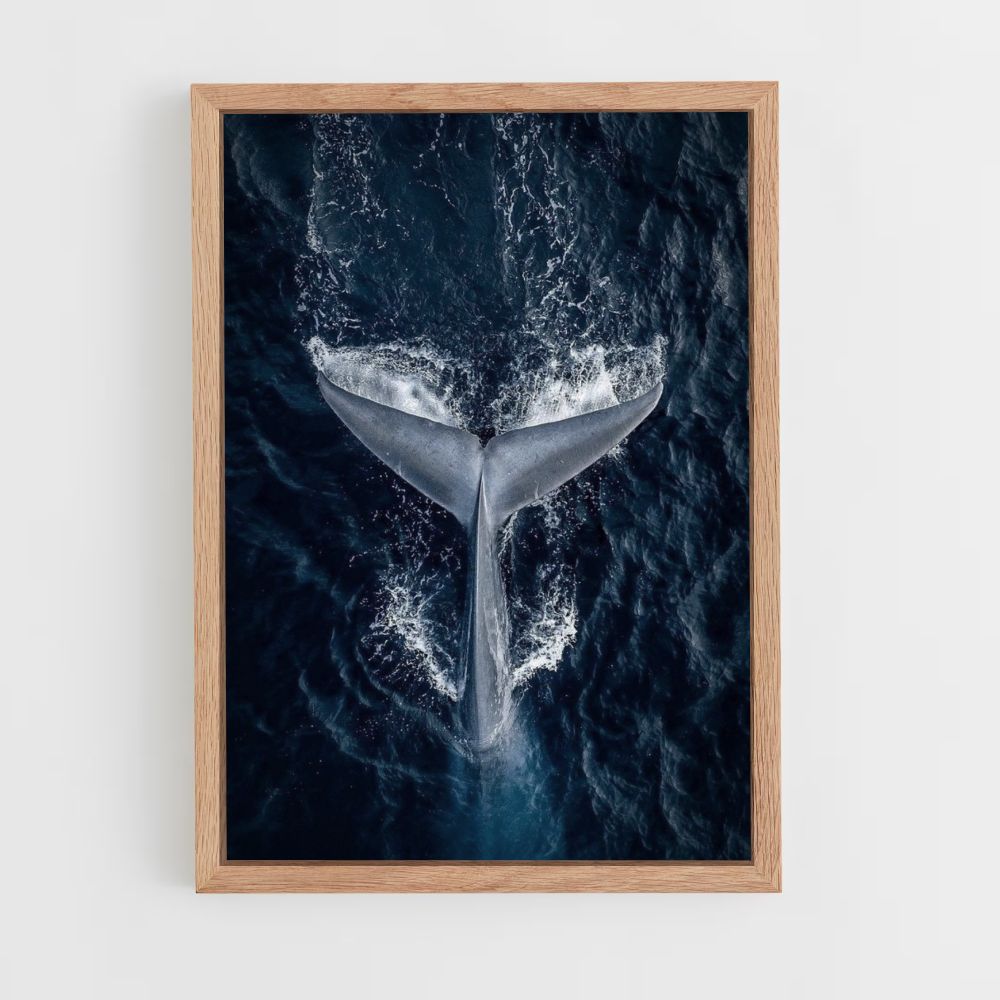 Whale Poster