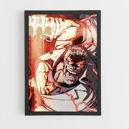 Poster Vice Admiral Garp