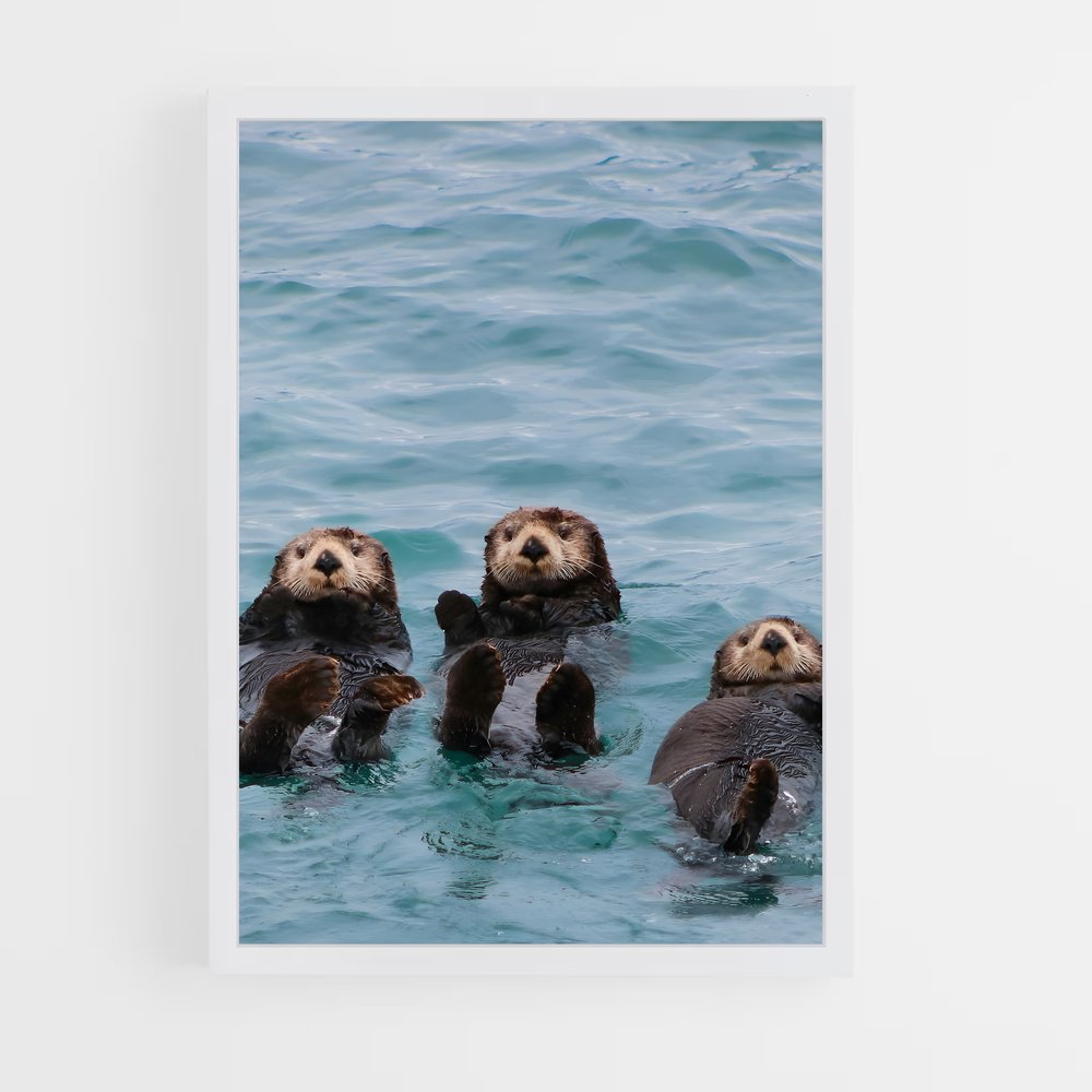 otter-1 cadre Blanc