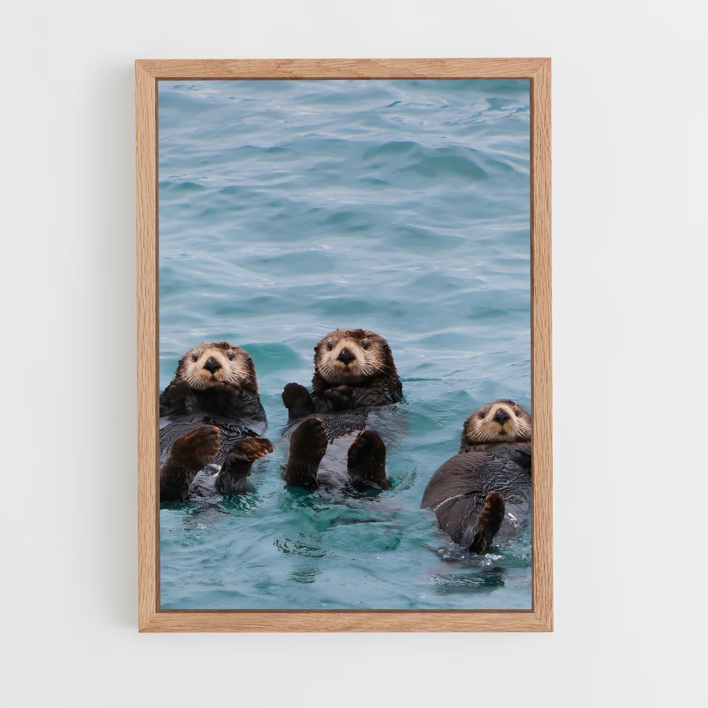 otter-1 cadre Bois clair