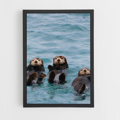 otter-1 cadre Noir