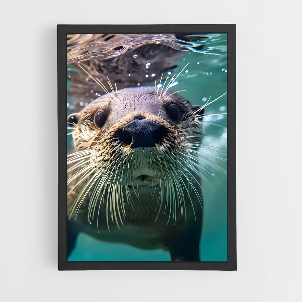 otter-3 cadre Noir