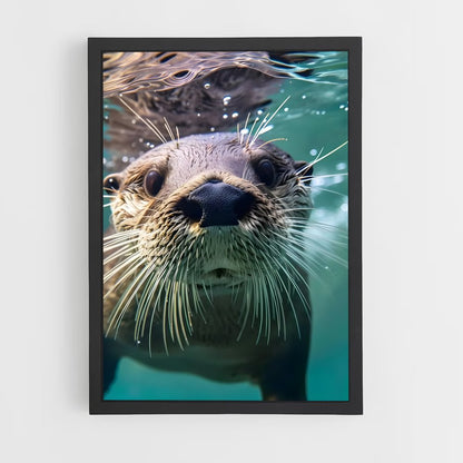 otter-3 cadre Noir