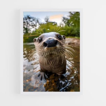 otter-4 cadre Blanc