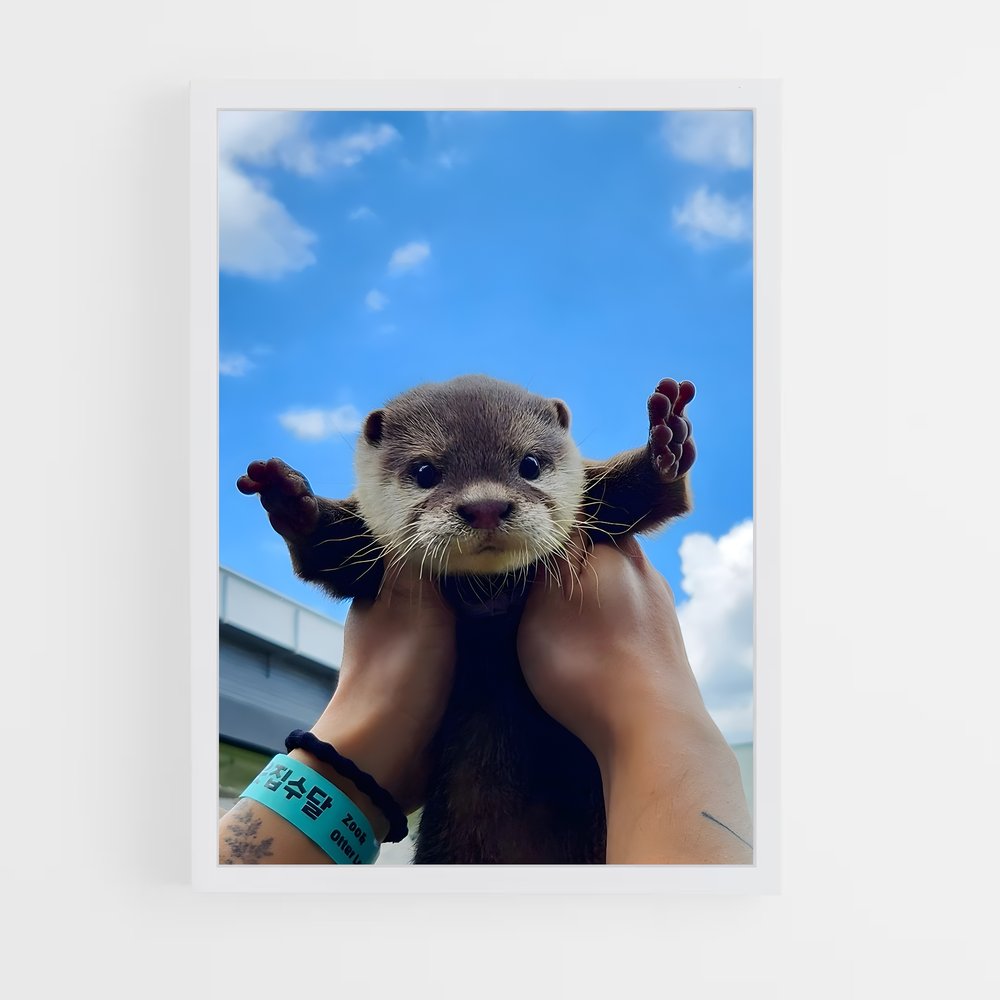 otter-5 cadre Blanc