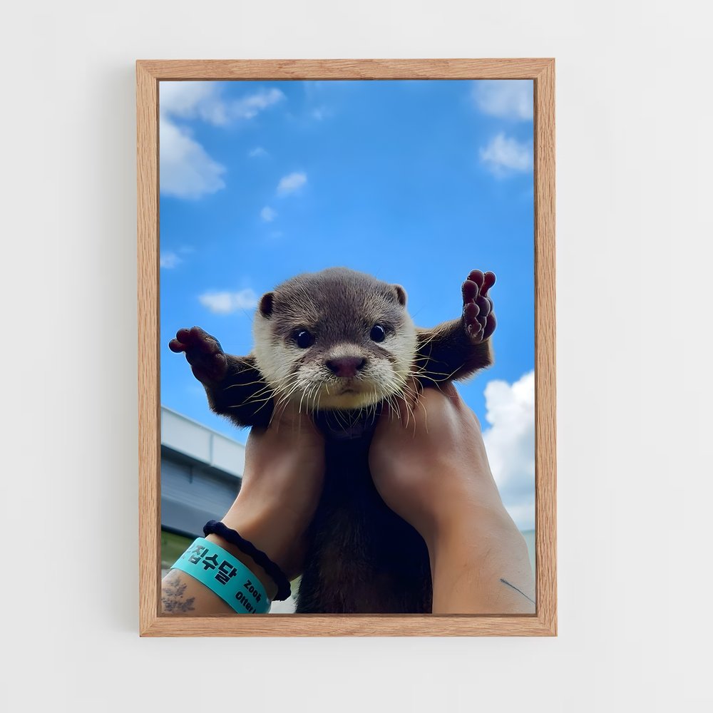 otter-5 cadre Bois clair