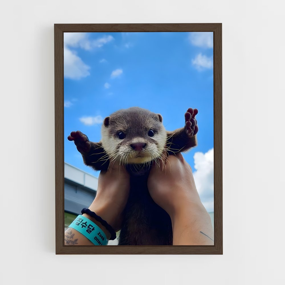otter-5 cadre Bois foncé