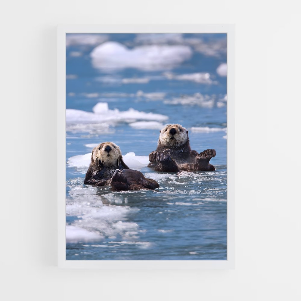 otter-6 cadre Blanc