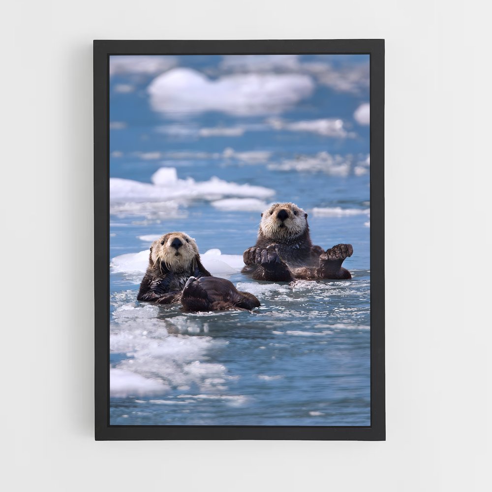 otter-6 cadre Noir