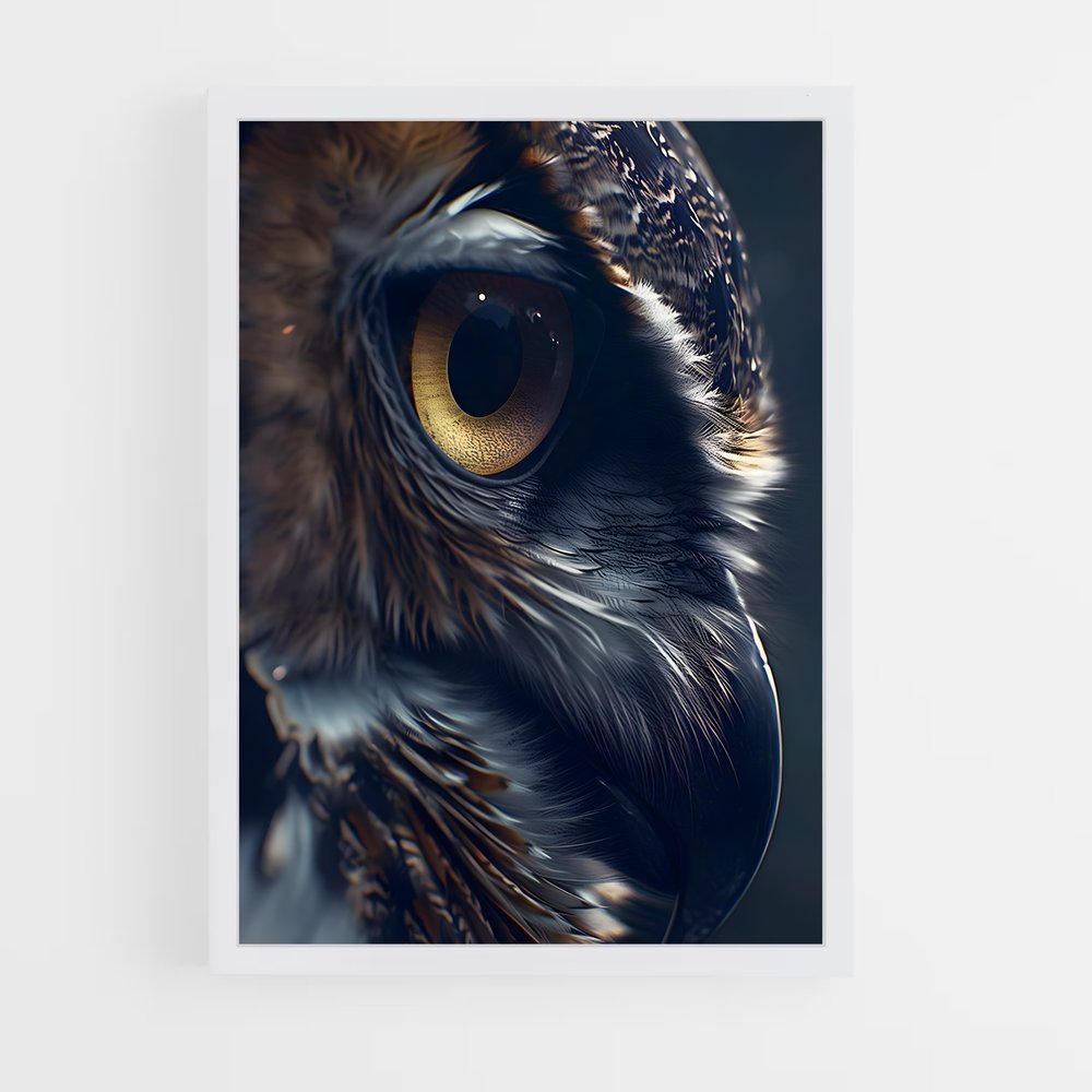 owl-13 cadre Blanc