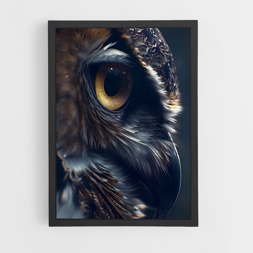 owl-13 cadre Noir