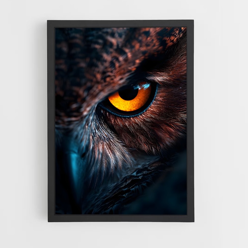owl-9 cadre Noir