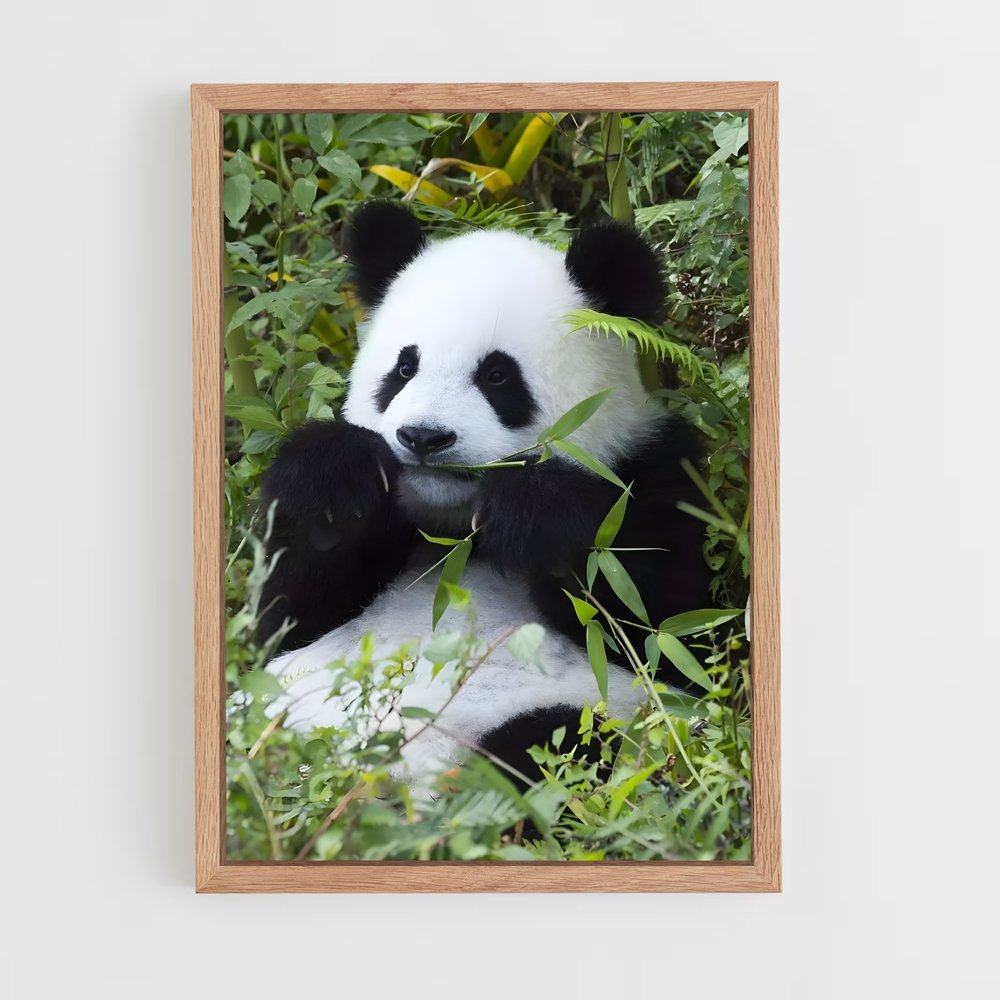 panda-8 cadre Bois clair