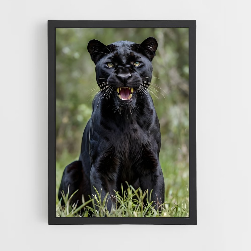 panther-3 cadre Noir