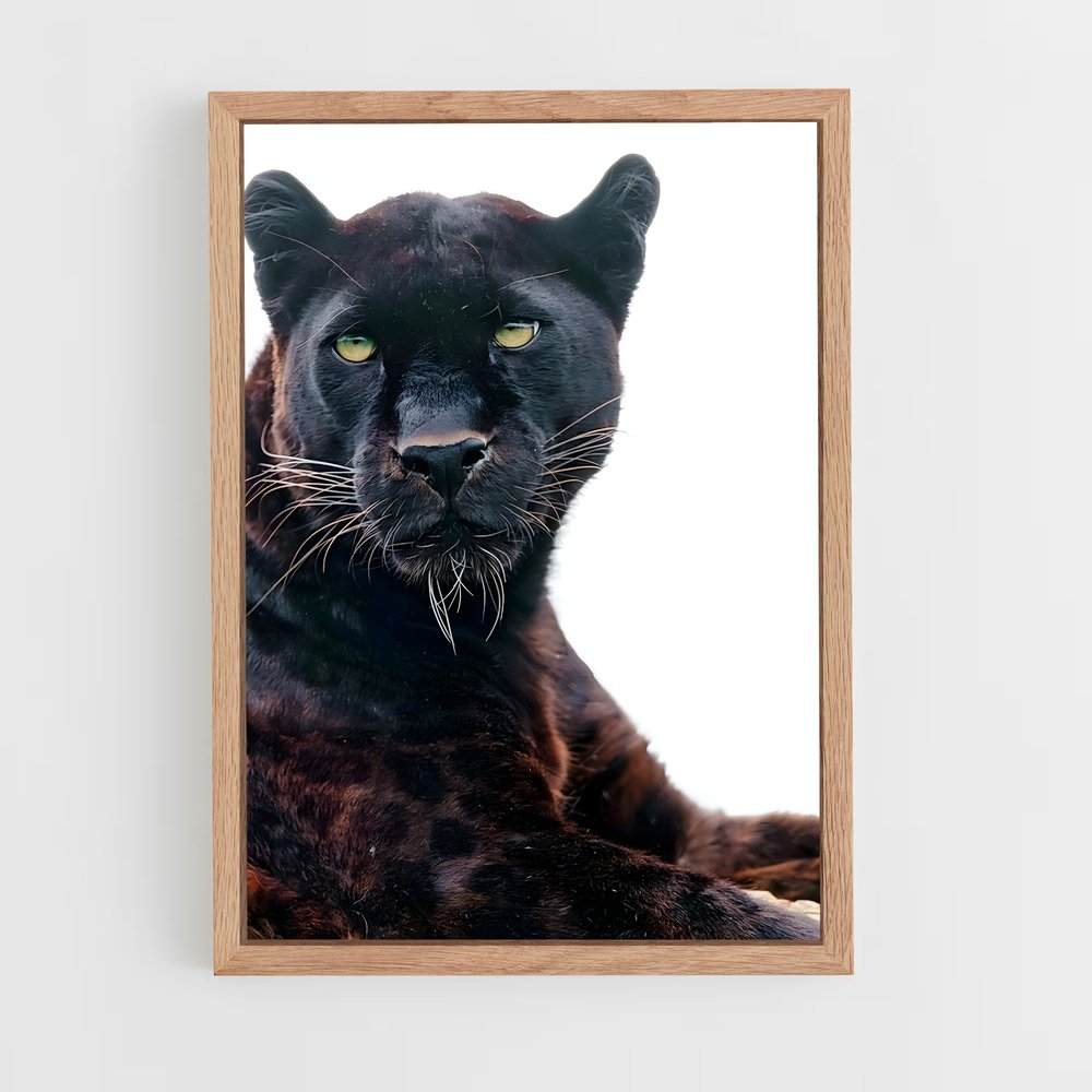 panther-4 cadre Bois clair