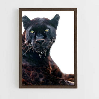 panther-4 cadre Bois foncé