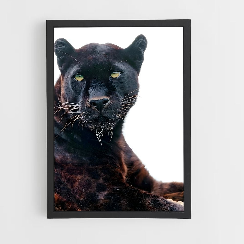 panther-4 cadre Noir