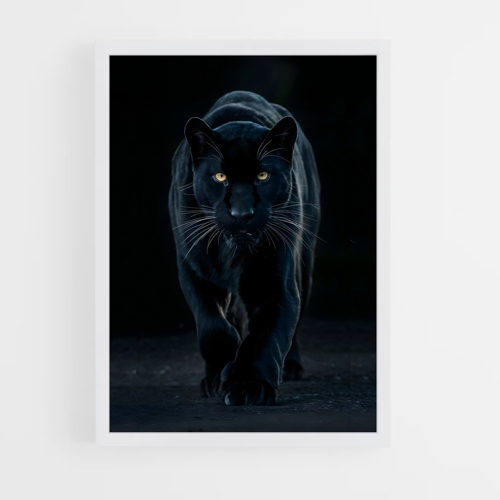panther-6 cadre Blanc
