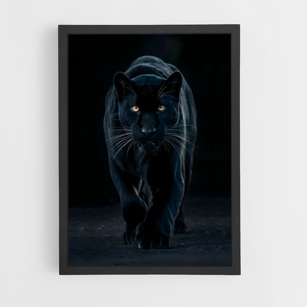 panther-6 cadre Noir