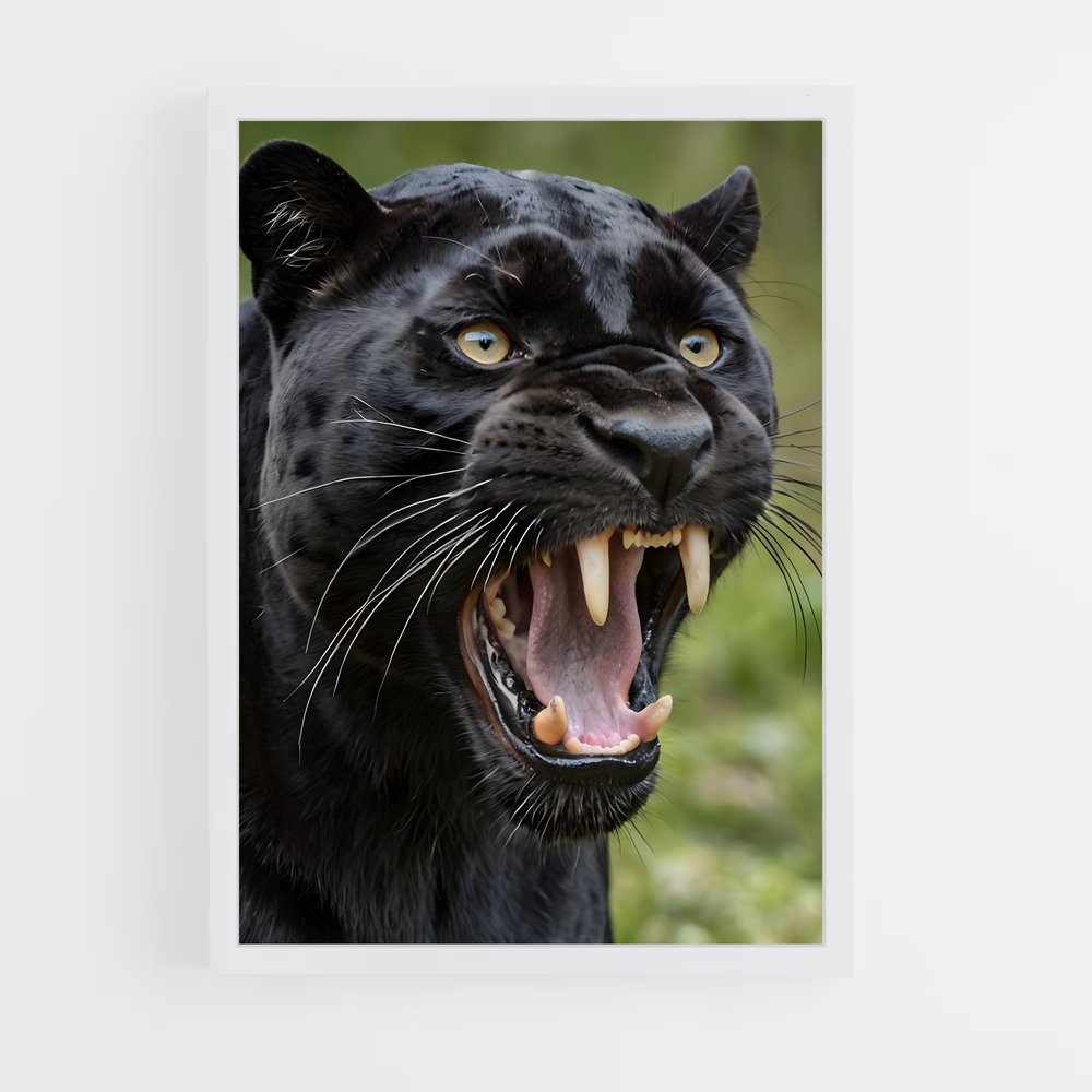 panther-7 cadre Blanc