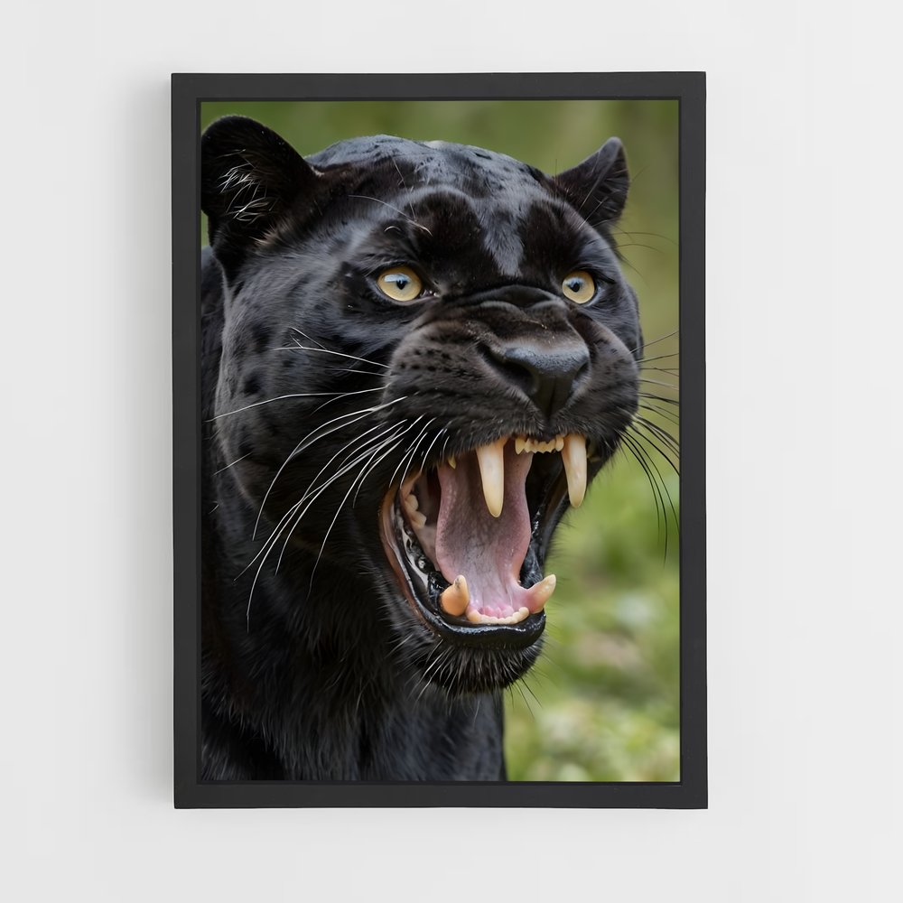 panther-7 cadre Noir