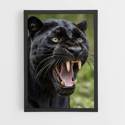 panther-7 cadre Noir