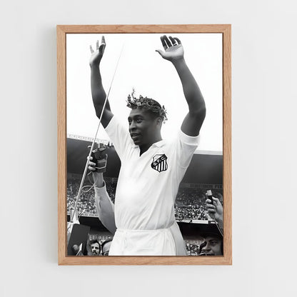 pele-1 cadre Bois clair