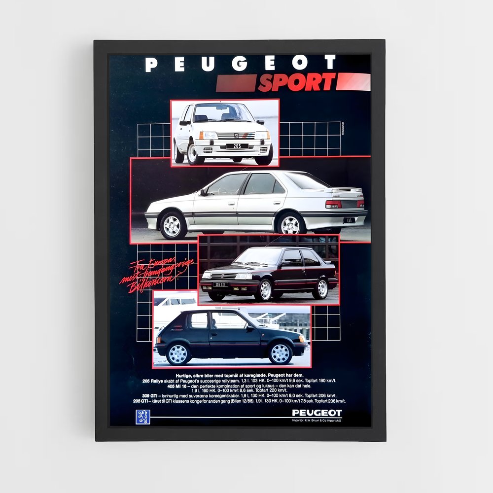 peugeot-11 cadre Noir