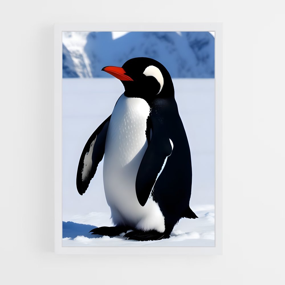 pingouin-2 cadre Blanc