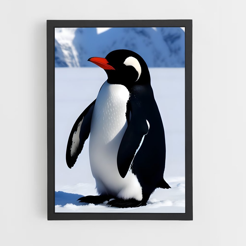 pingouin-2 cadre Noir
