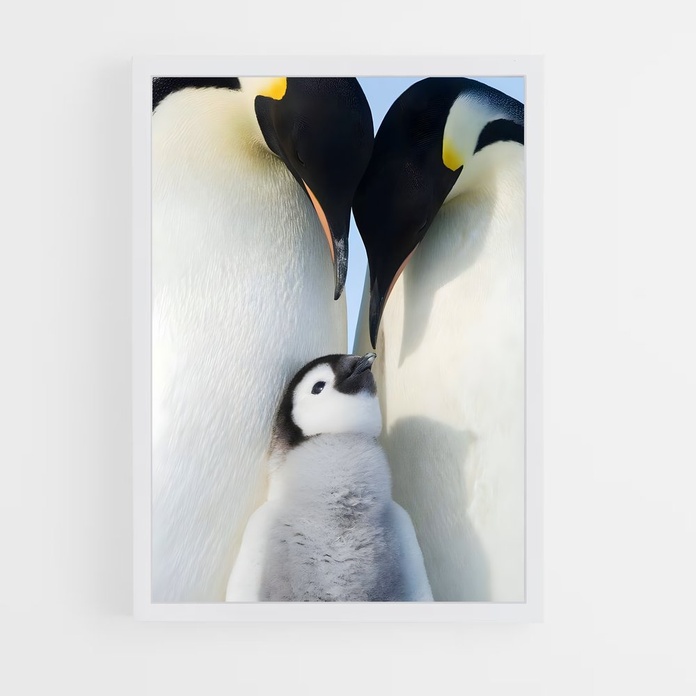 pingouin-7 cadre Blanc