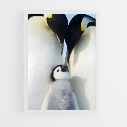 pingouin-7 cadre Blanc