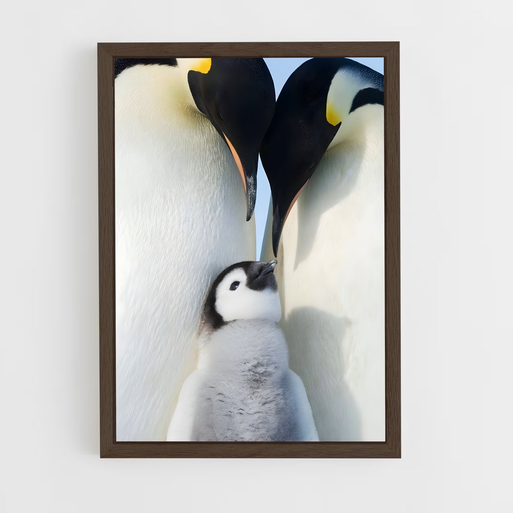 pingouin-7 cadre Bois foncé