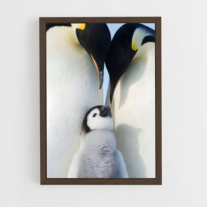 pingouin-7 cadre Bois foncé