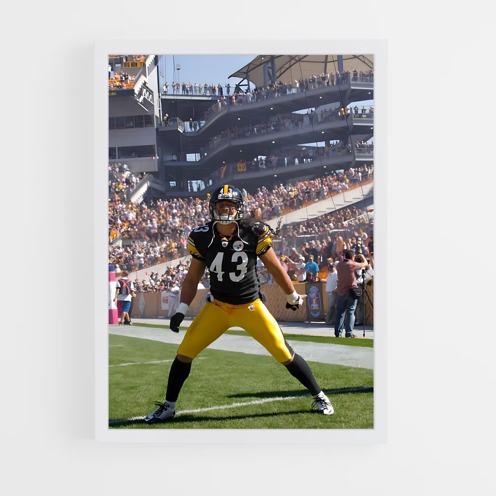 pittsburgh-steelers-3 cadre Blanc